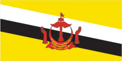 Flag of Brunei 