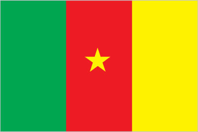 Vlag van Kamerun