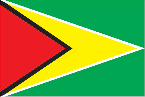 Vlag van Guyana