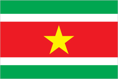 Vlag van Suriname