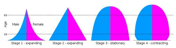 us demographics presentation